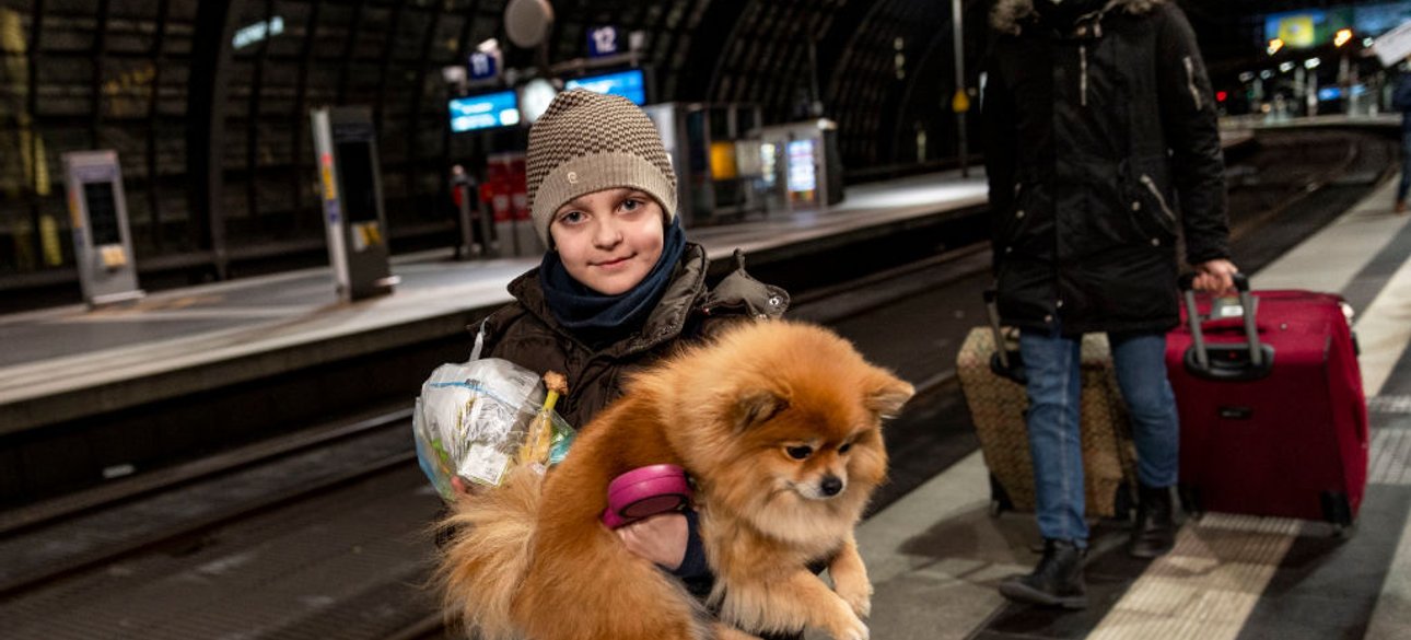 беженцы, беженцы на вокзале, беженцы с животными, эвакуация с животными