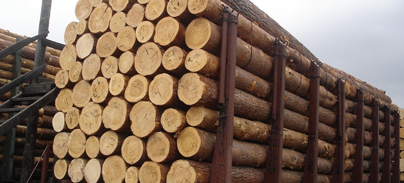 Фото: открытые источники