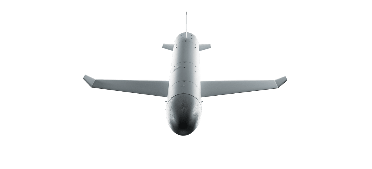 ракета-дрон "Паляница"