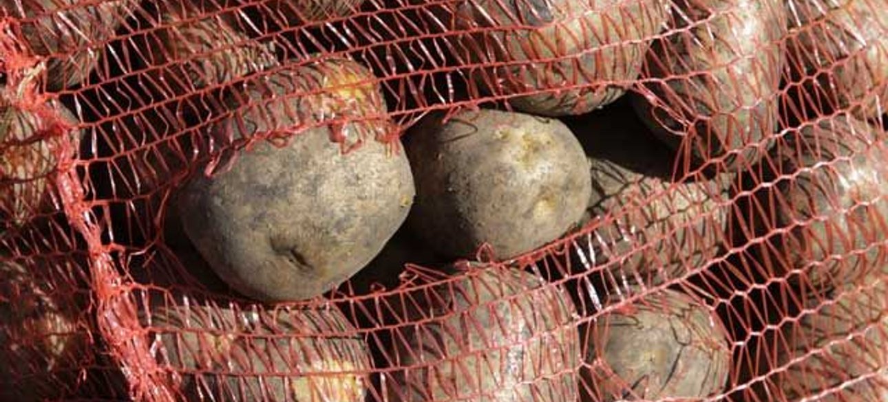 Иллюстративное фото