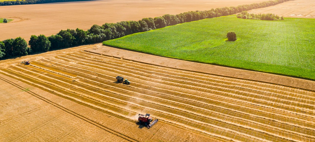 поля, сбор урожая, жнива