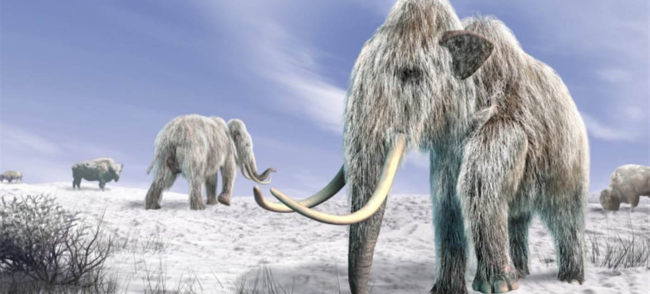 мамонти картинка