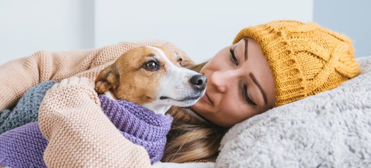 собака собака, здоров'я, хвороба, лікування