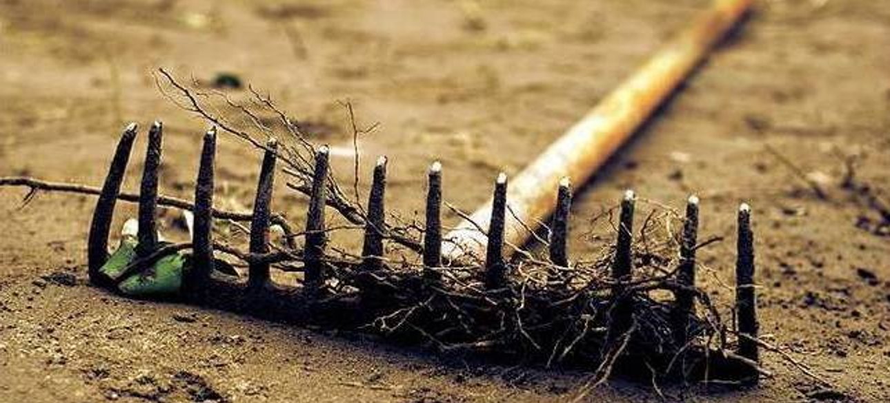 Фото: Muz4in.Net