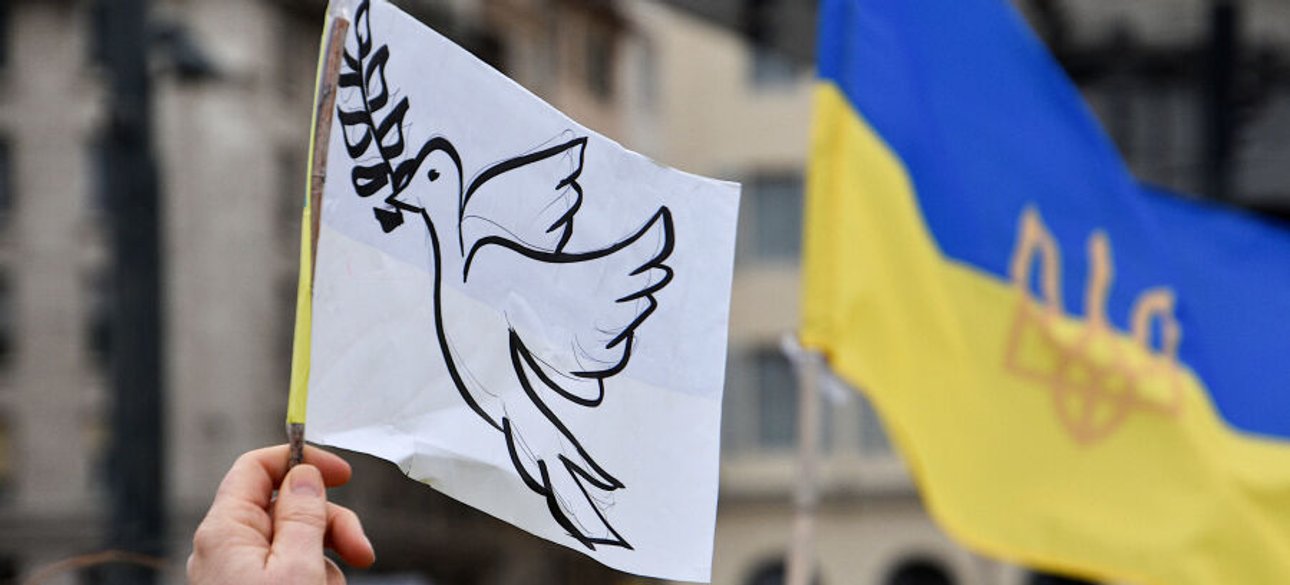 In nessun caso si dovrebbe optare per il ritiro volontario delle forze armate da...