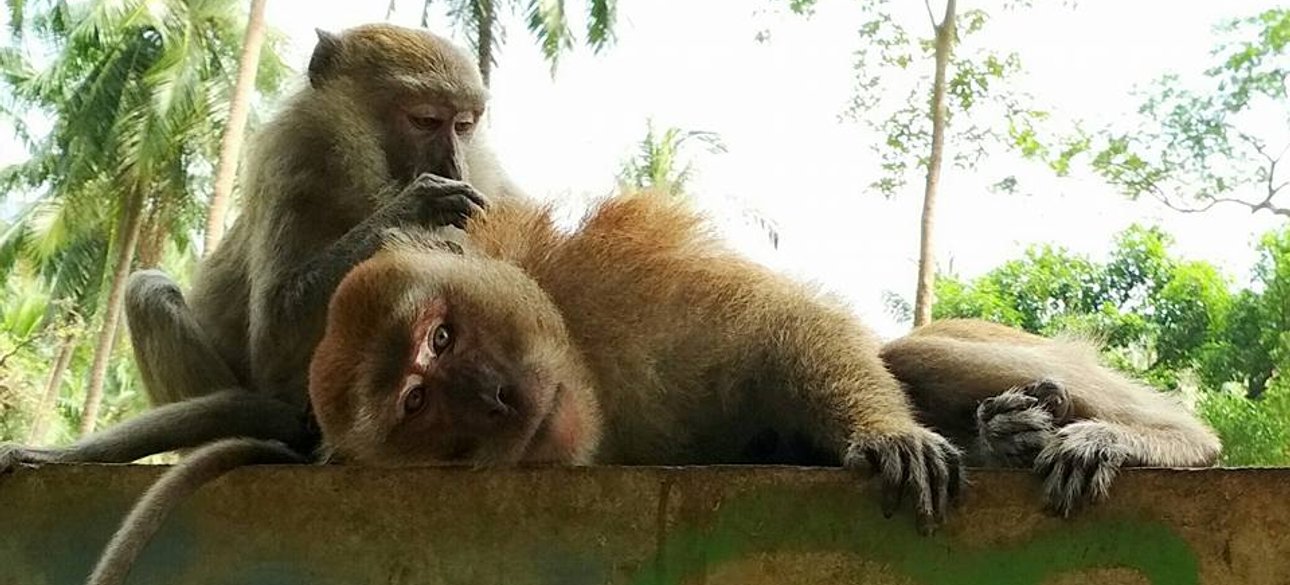 Фото: Елена Розвадовская