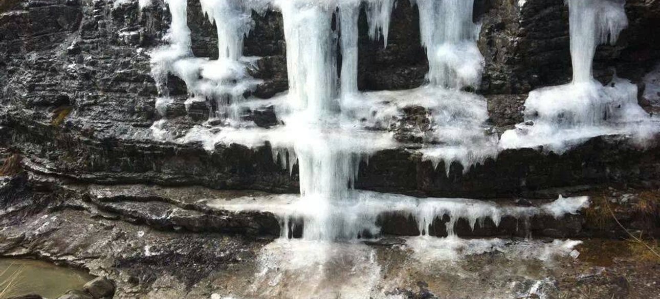 Фото: Константин Николаев