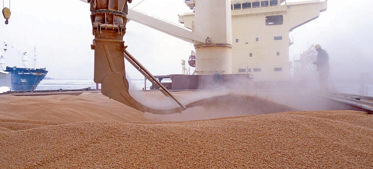 зерно, експорт, сільське господарство, аграрний експорт, зерновий коридор