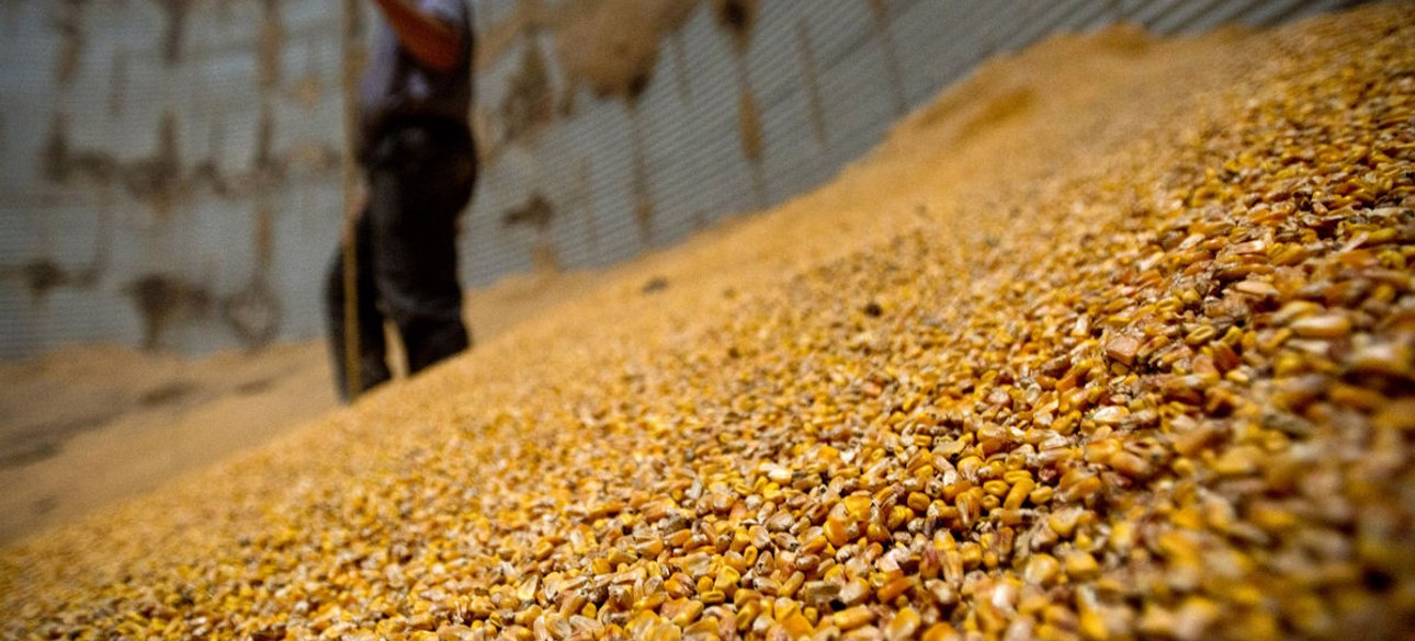 Фото: Getty Images