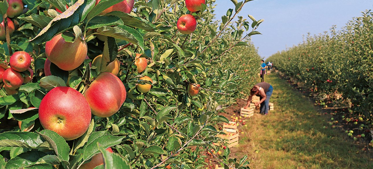 Фото: Getty Images