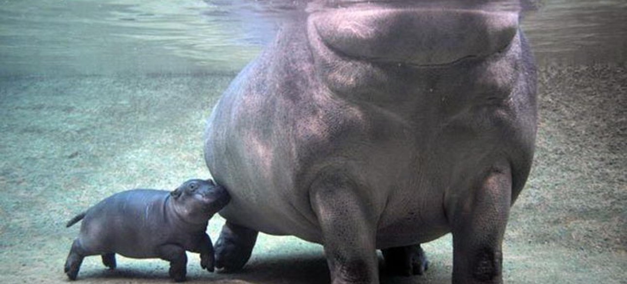 Иллюстративное фото