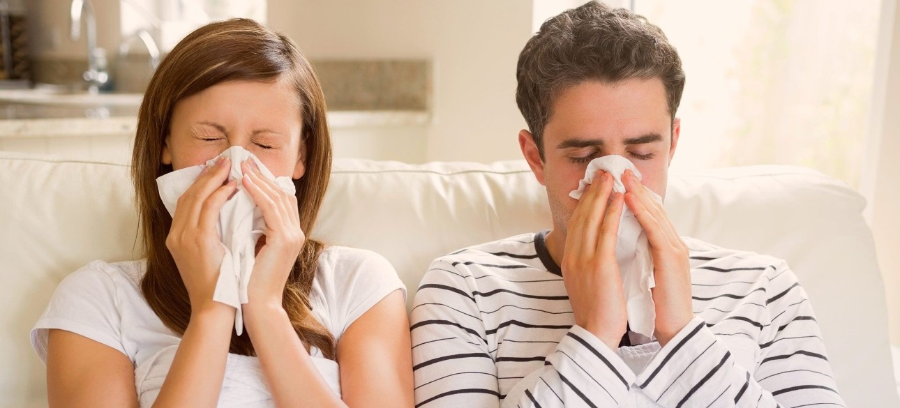 Які страждають на алергію