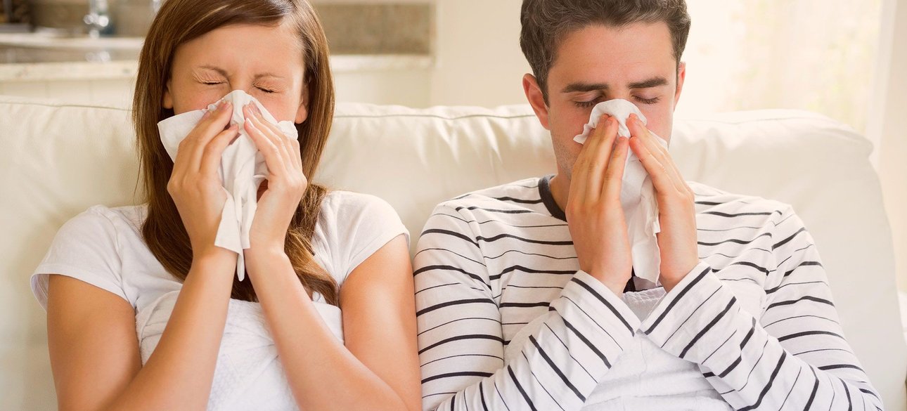 Які страждають на алергію