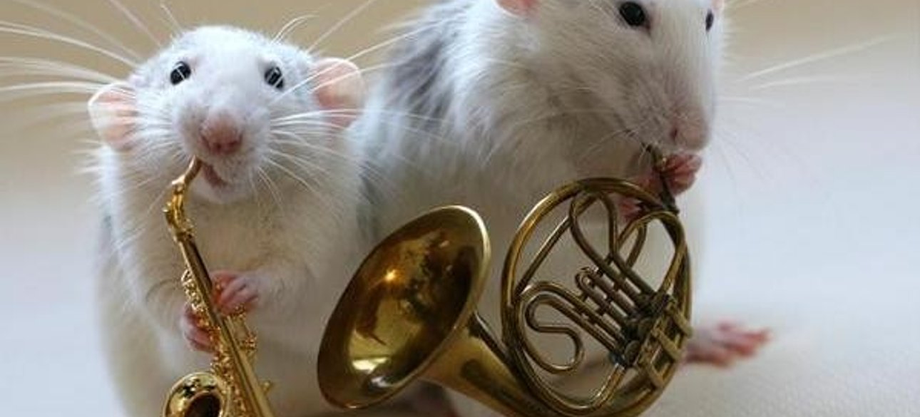 Иллюстративное фото