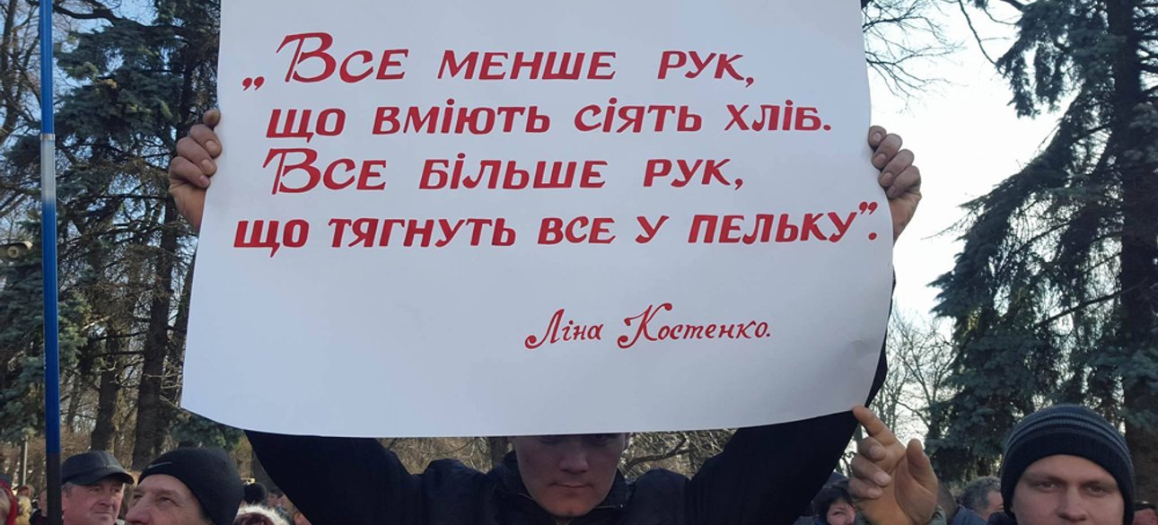 Фото: agroportal.ua