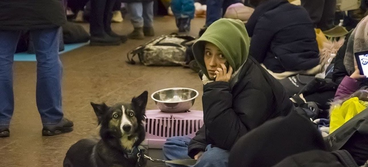 Убежище, укрытие