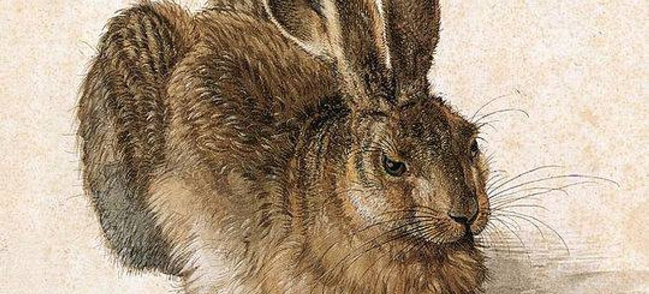 Альбрехт Дюрер / Feldhase