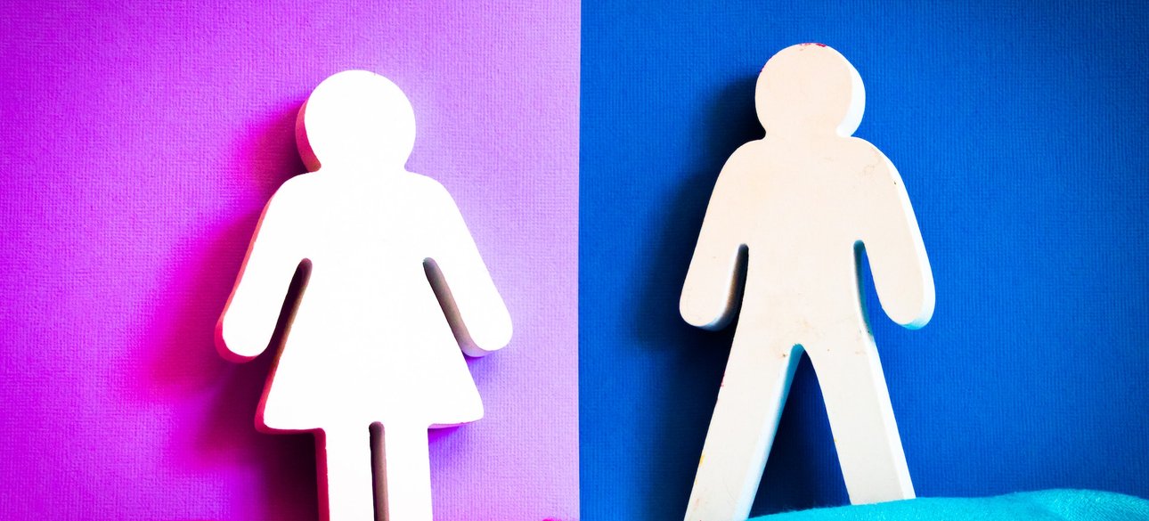 женские вагоны, укрзализныця, отношения полов, мужчины, женщины