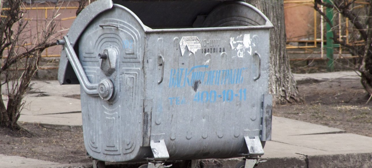 Фото: открытые источники