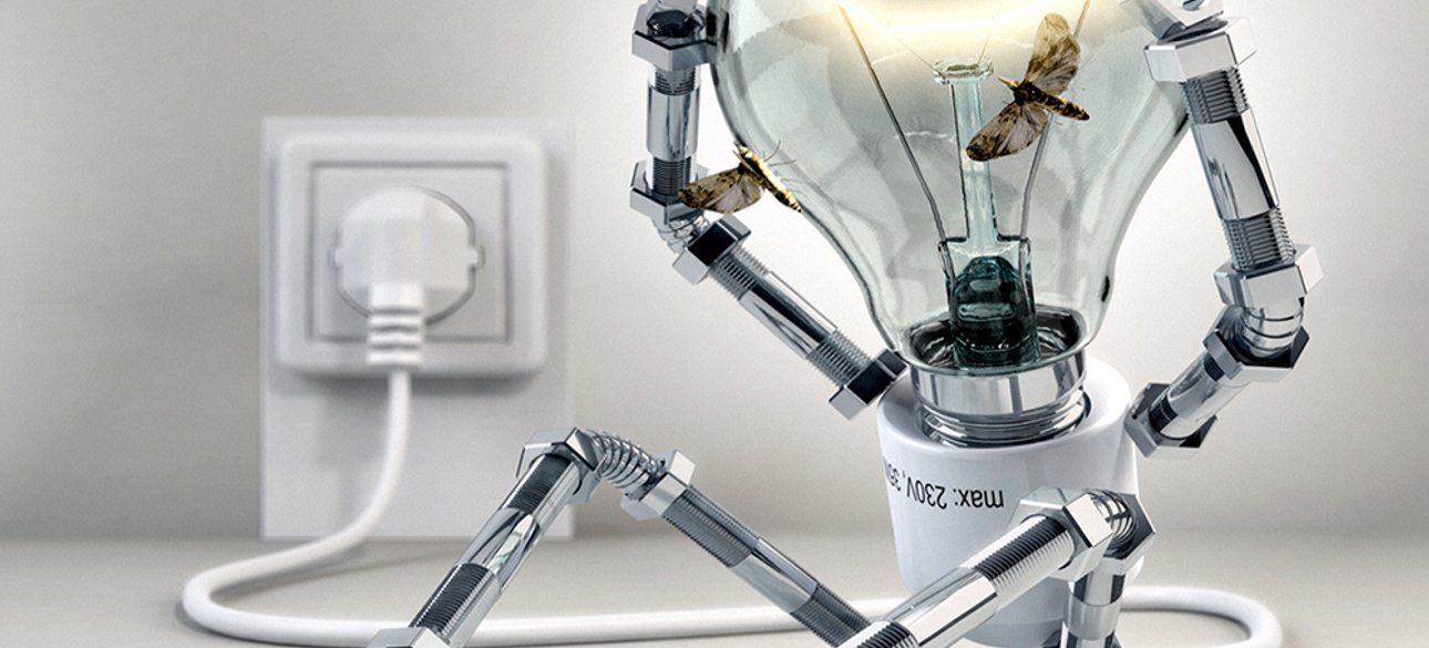 Фото: открытые источники