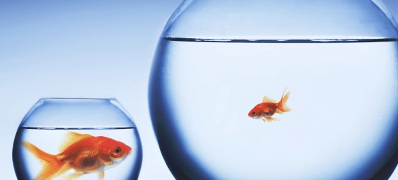 Фото: Islam-Today.ru