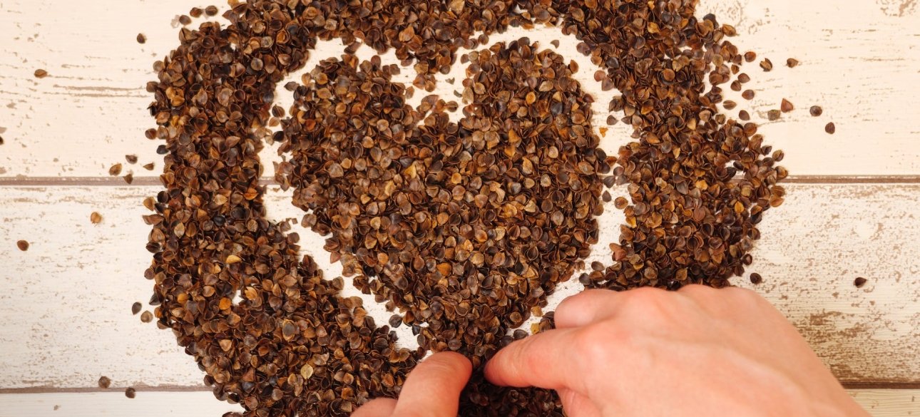 Гречка гречка, меню, їжа