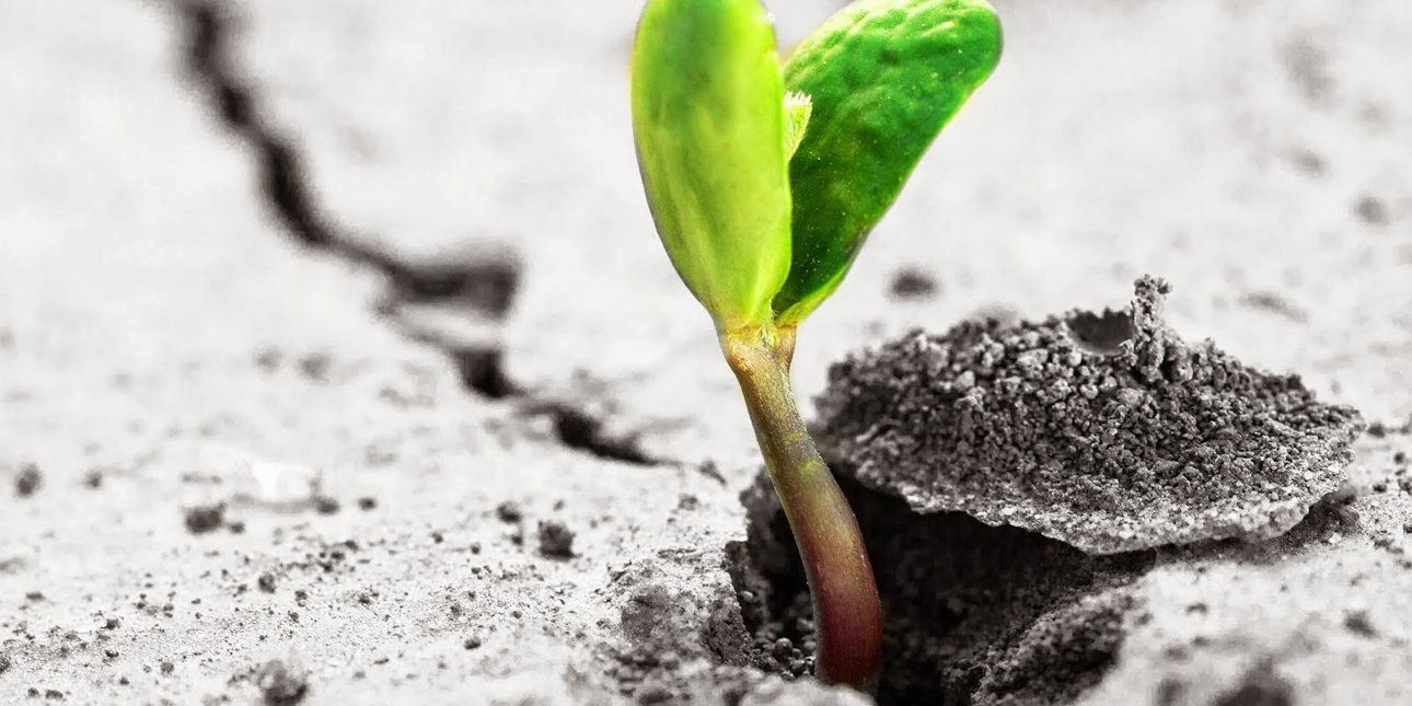 Фото: benessereearmonia.it