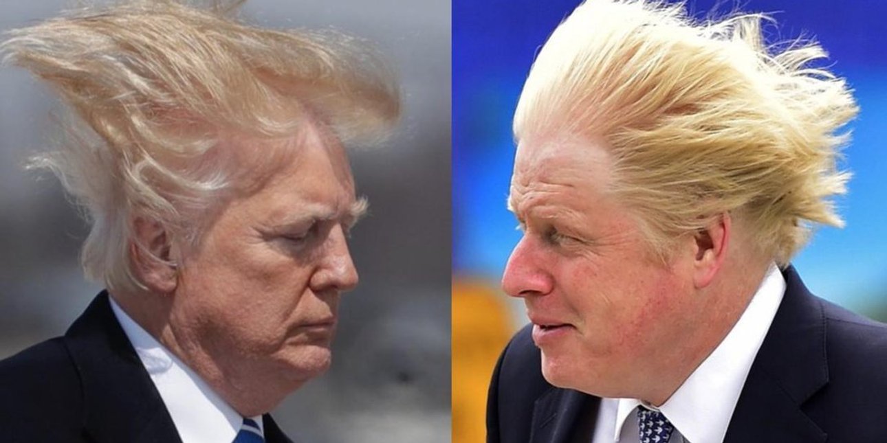 Трамп, Джонсон