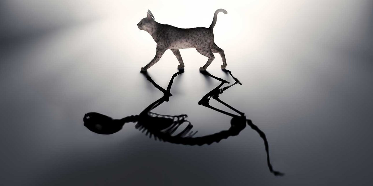 Иллюстрация: Mopic/Shutterstock