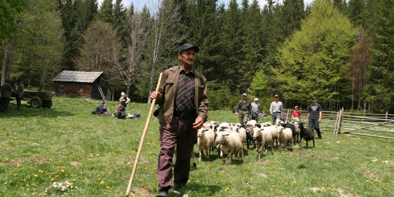 гуцул, карпаты
