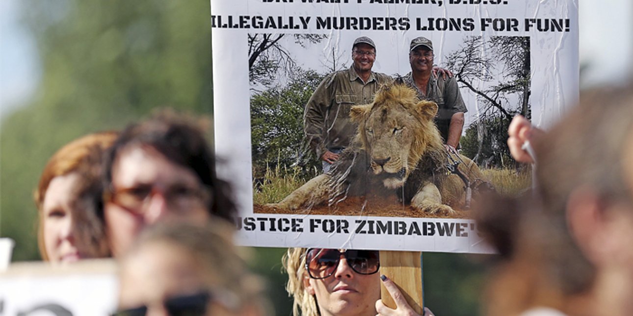 Фото: Reuters