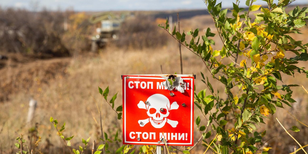 мины, поле,  минное поле, Украина разминирование, разминирование Украины