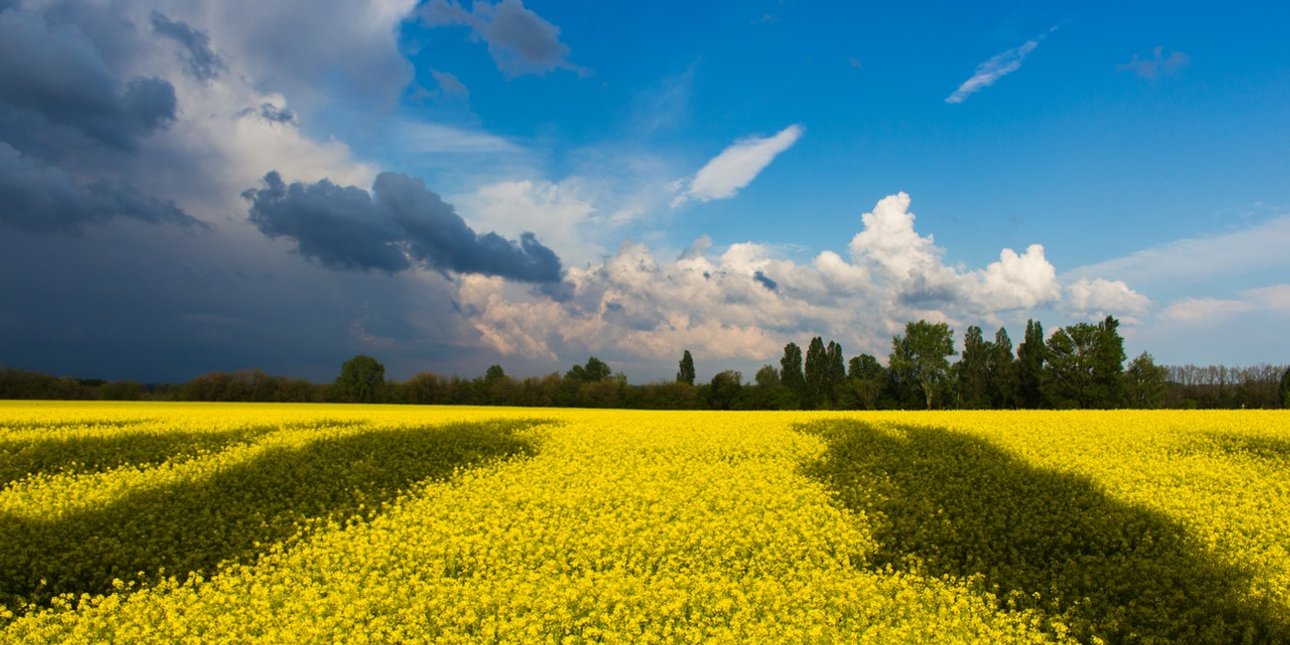 Україна, прапор, майбутнє