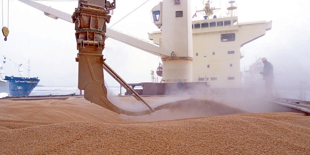 зерно, экспорт, сельское хозяйство, аграрный экспорт, зерновой коридор