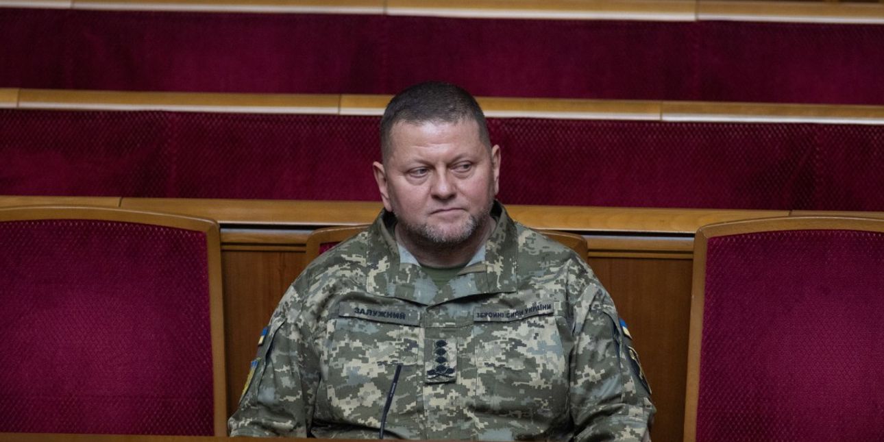 залужный, верховная рада