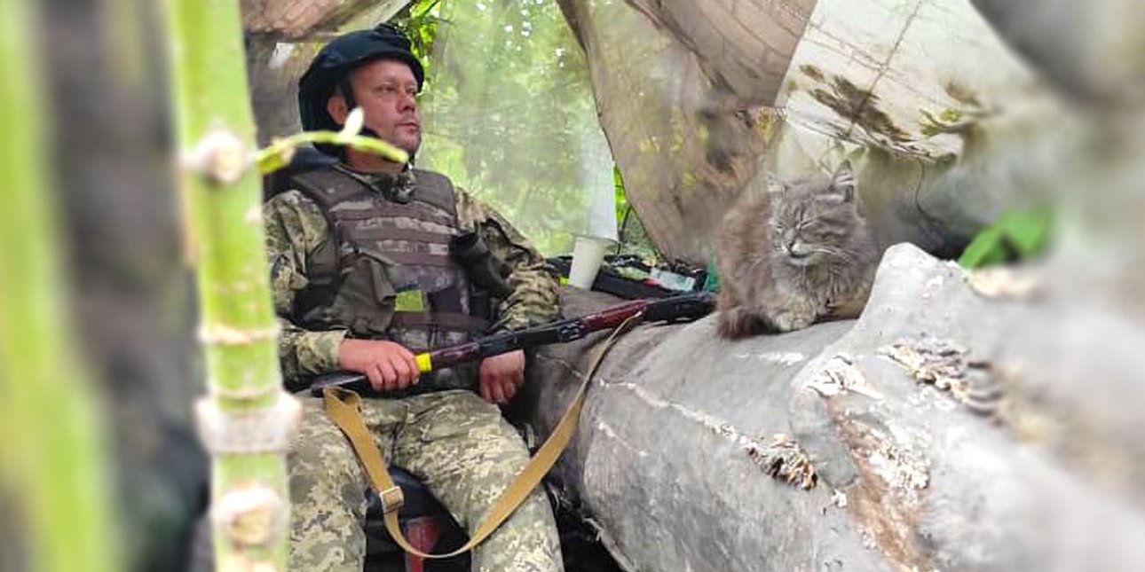 Кирилл Сазонов, ВСУ, Лисичанск, армия
