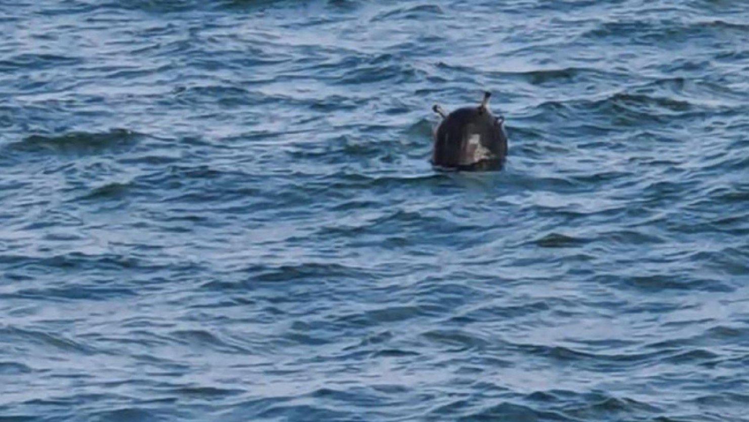 сероводород в черном море