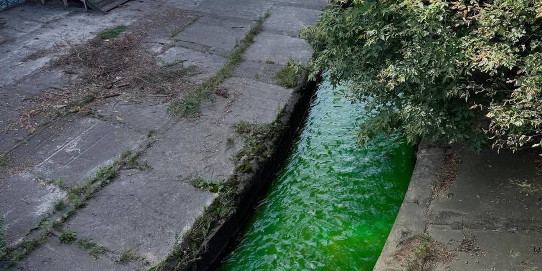 Вода в річці Либідь кардинально змінила колір на яскраво-зелений, — соцмережі