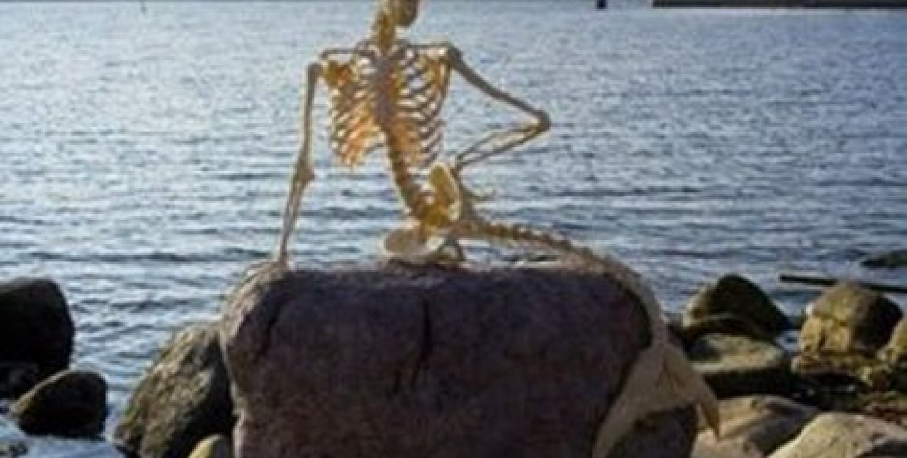 Скелет русалки Копенгаген