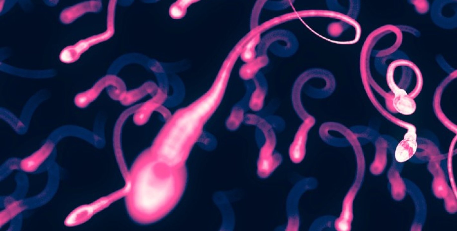 как образуется сперма в организме фото 54