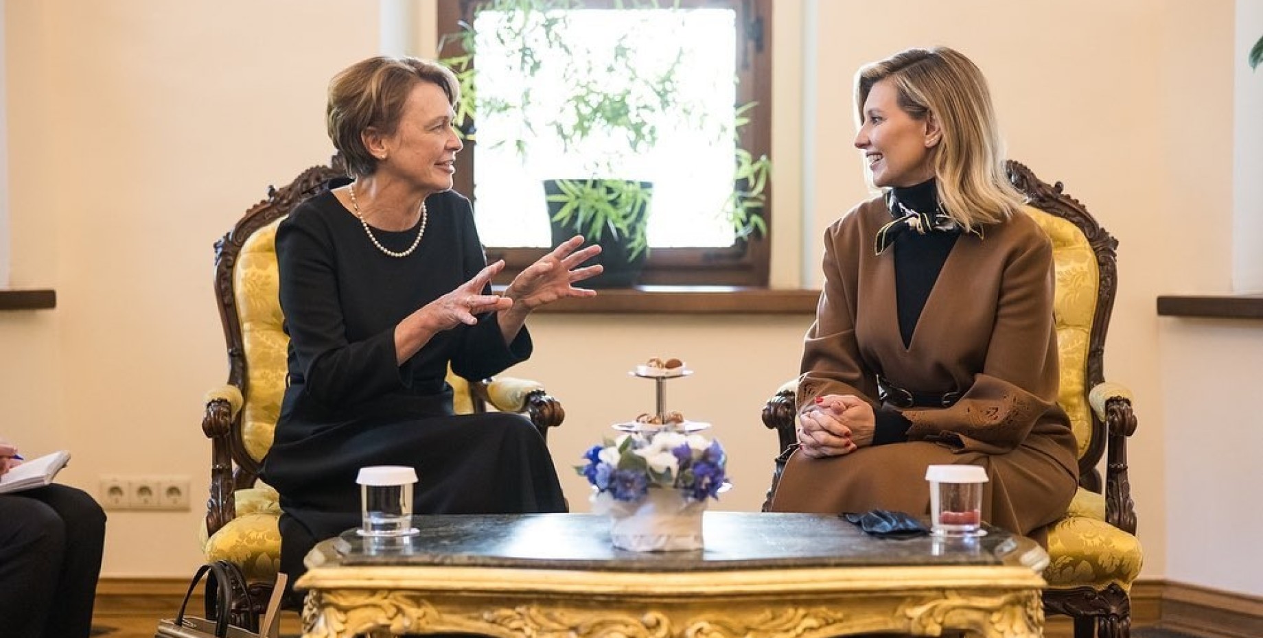 Lady germany. Эльке Бюденбендер. Первая леди Германии. Жена президента Германии. Елена Зеленская в Германии.