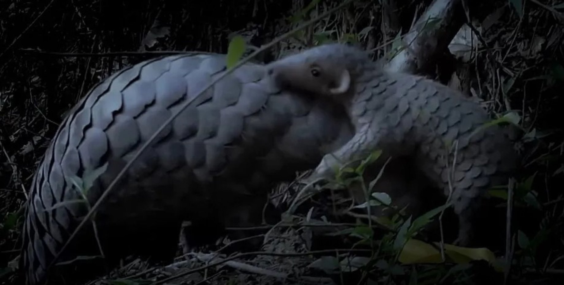 Промокоды кинопоиск. 90 дней. 90 дней службы позади. Стратегии успеха для новых лидеров всех уровней. Но это не подряд.