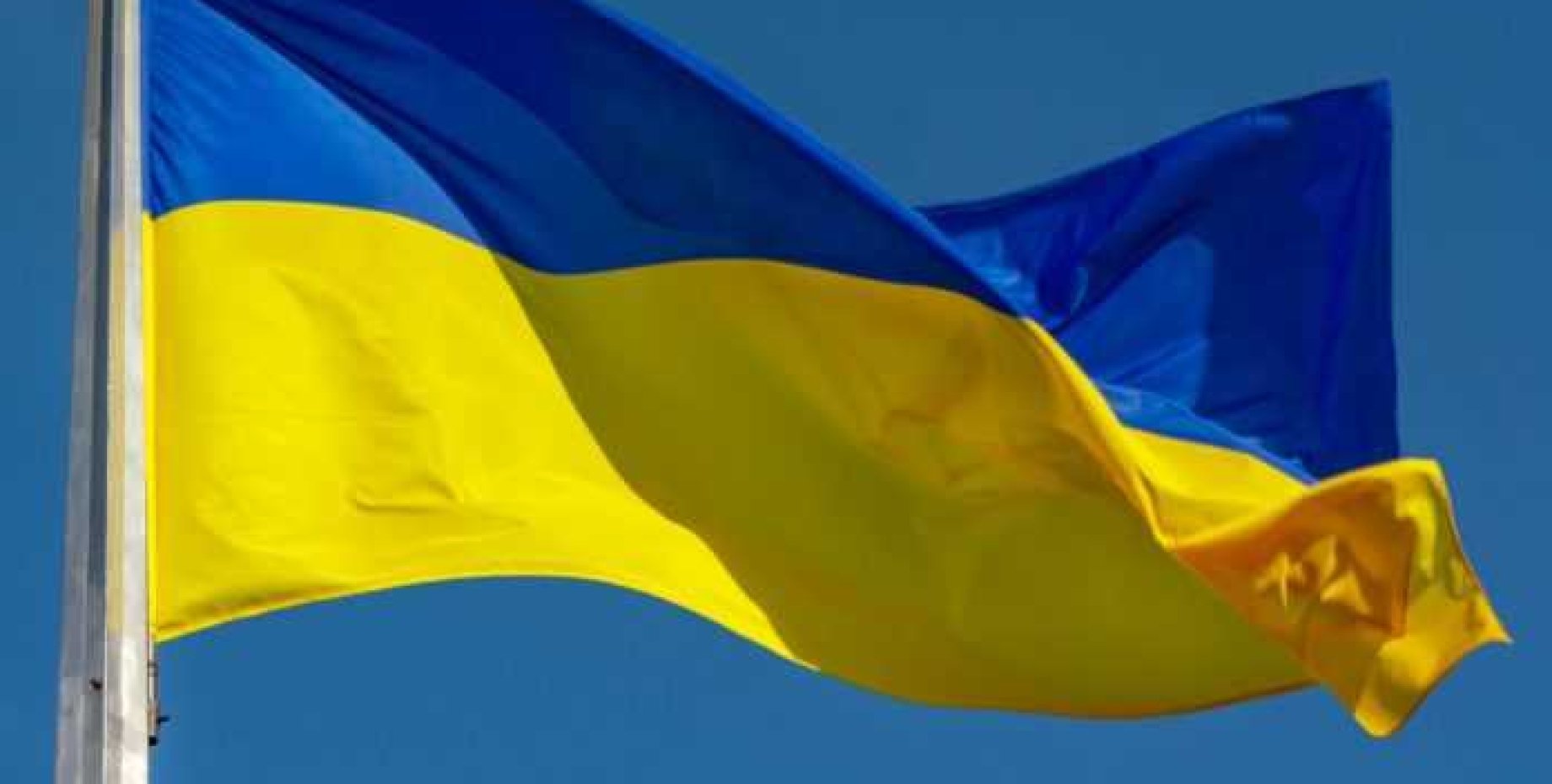 Історія українського прапора — цікаві факти до Дня державного прапора України 6135