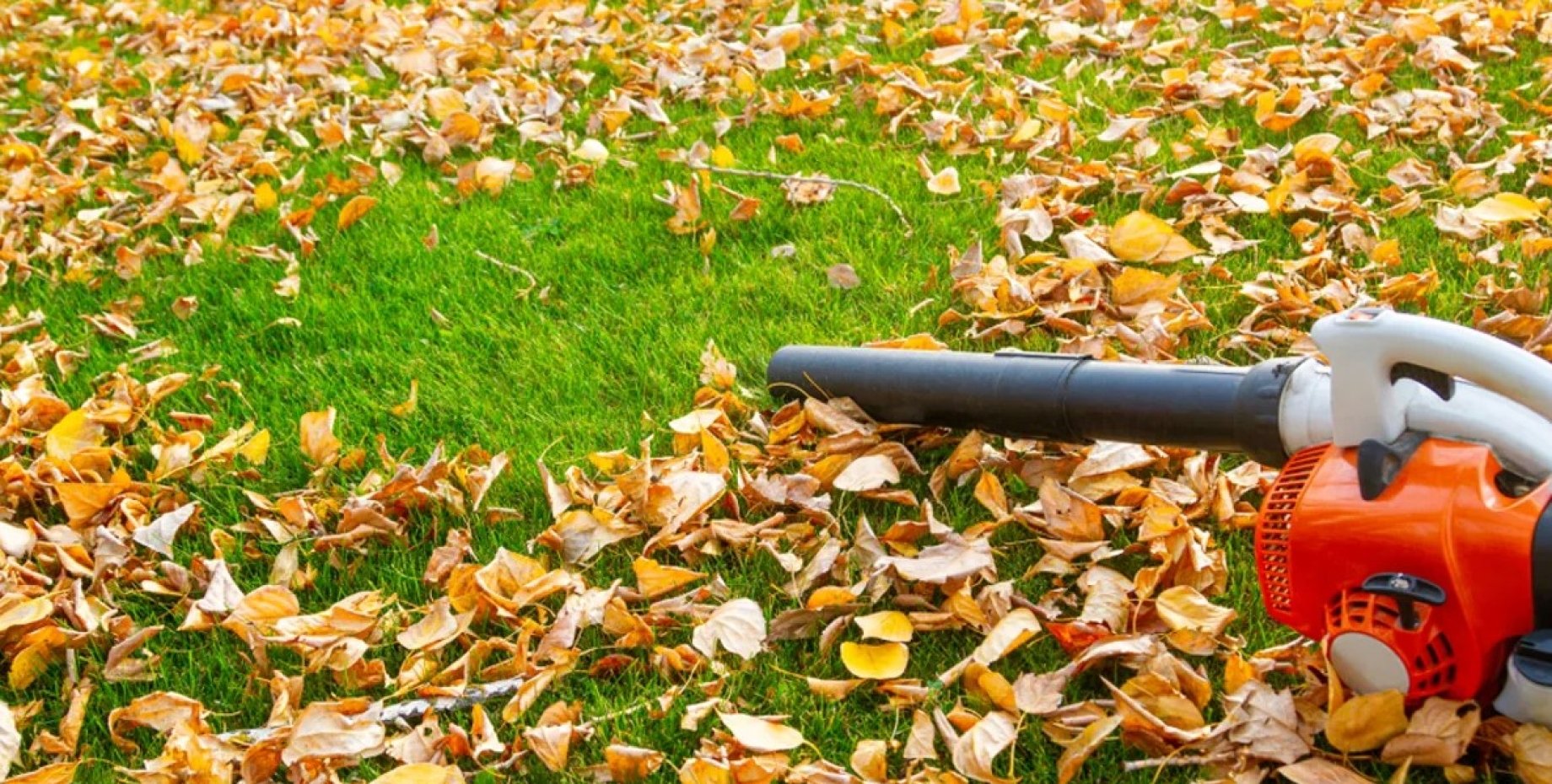 Зачем убирают листья с газона. Leaf Blower. Выдувать листья пылесос. Картинки садовые пылесосы. Blower for leaves.