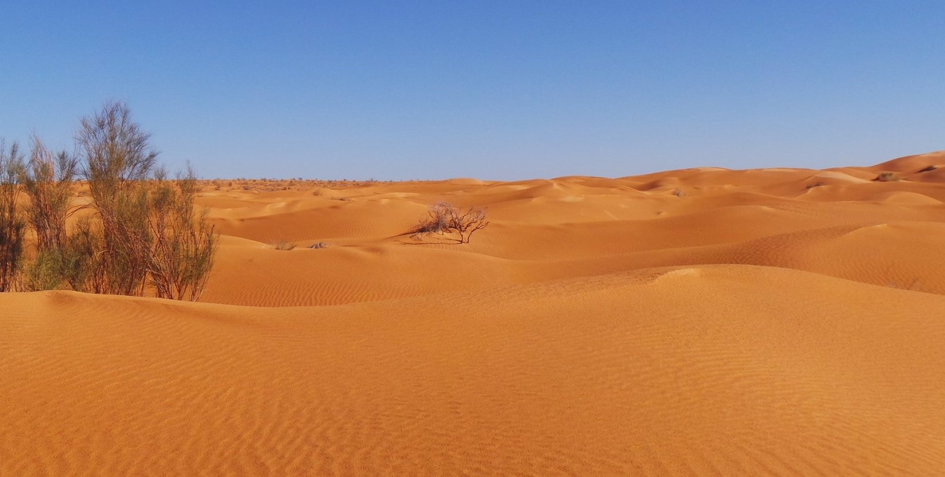 Самая крупная пустыня на земле. Пустыня Каракум в Туркменистане. Пустыня сахара климат. Пустыня Каракумы климат. Эль ХАМРА пустыня.