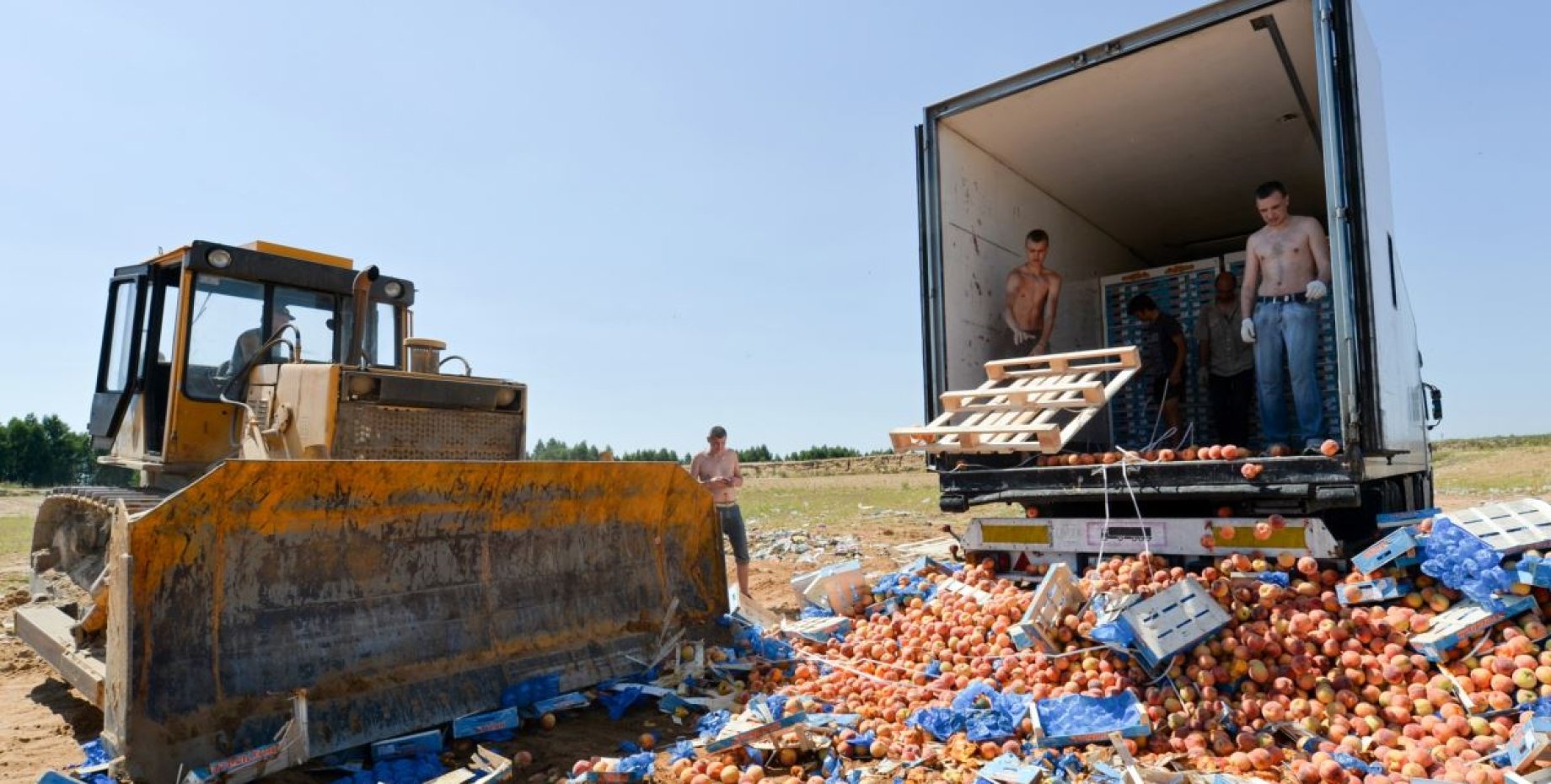 Давят еду. Уничтожение продуктов. Уничтожение продуктов в России. Санкционные продукты. Утилизация санкционных продуктов.