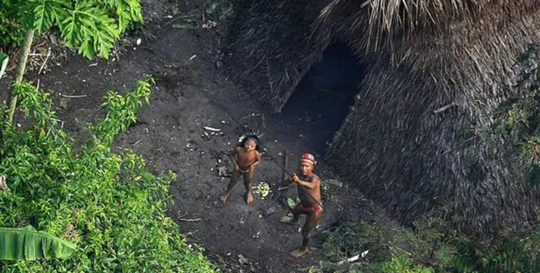 Ваорани, первобытное племя. Женщина в джунглях. Неконтактные индейцы амазонии. Дикие племена живущих джунглях. Дикие племена живущих джунглях.