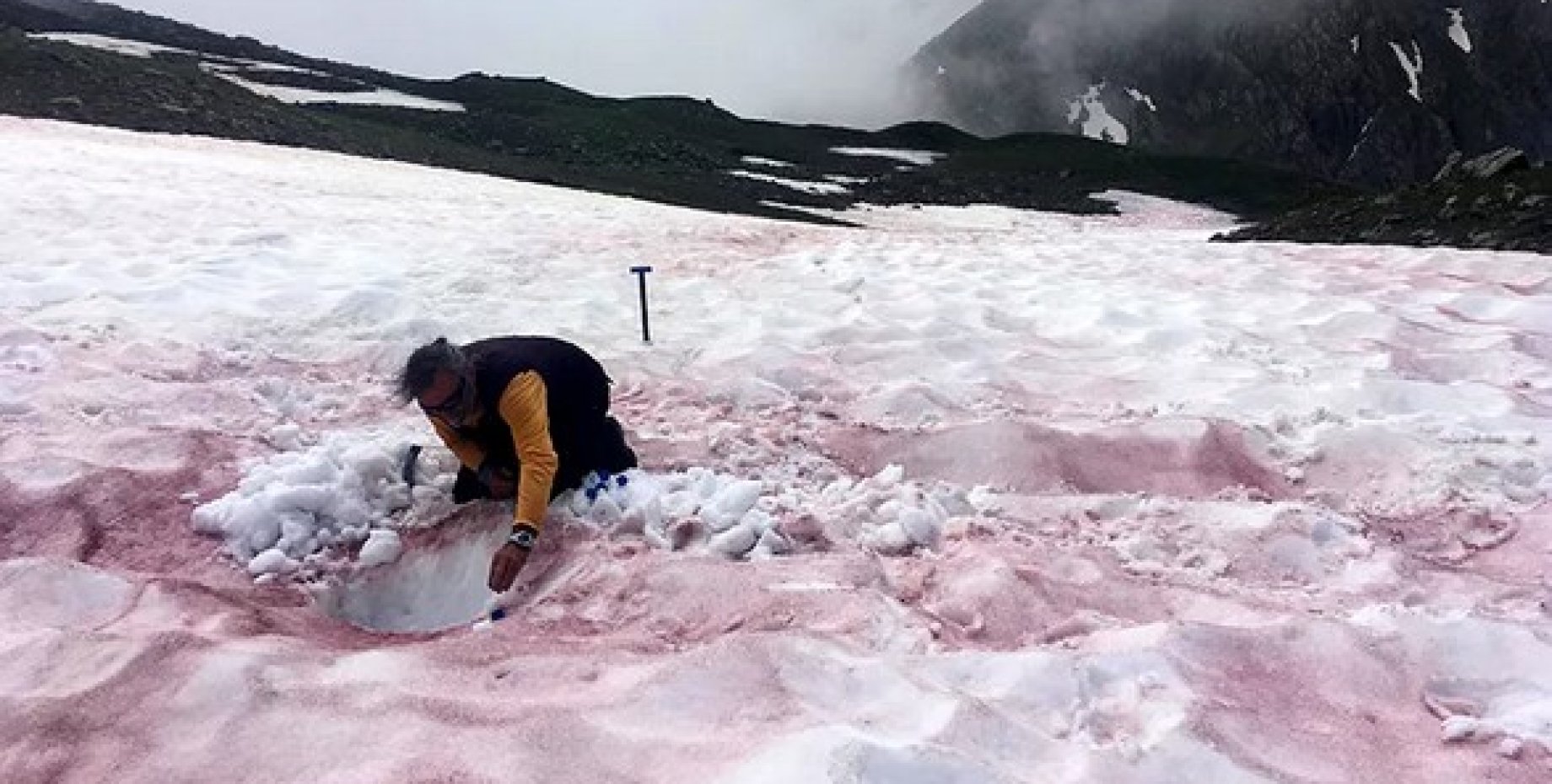 Выпал розовый снег. Красный снег в горах. Ледники и снега. Красный снег в Альпах. Розовый снег в Альпах.
