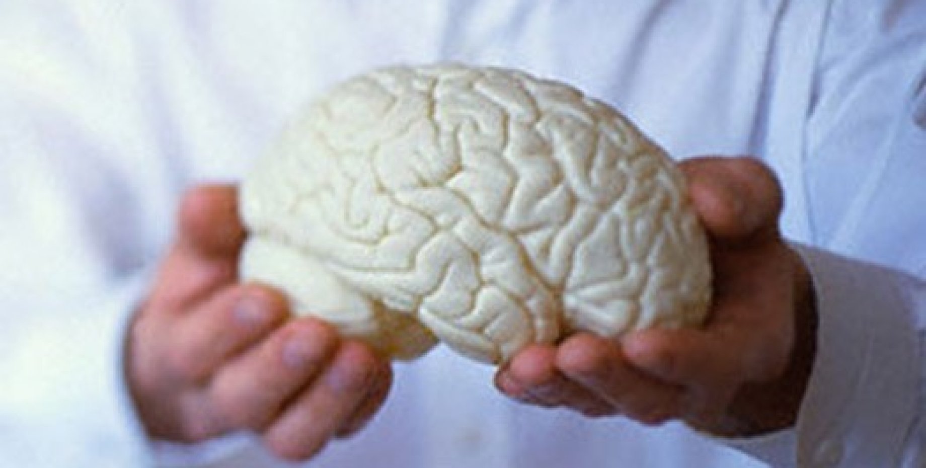 Институт лечения мозга. Мозг в руках. Мозг прикол.