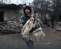 В Запорожье ВС РФ попали по собачьему приюту: устроили "ужасный террор", — горсовет (фото)